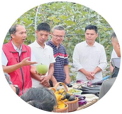 問鼎H5：行動娛樂的革新者 - 问鼎H5yinuo